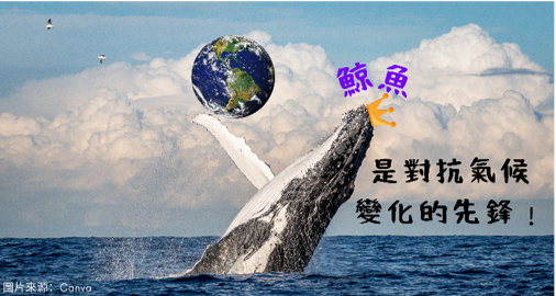 鯨魚是對抗氣候變化的先鋒﹗