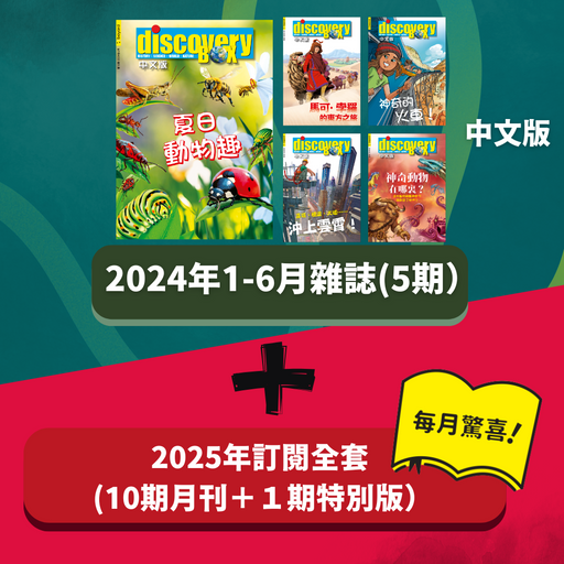 DiscoveryBox 中文版 : Ages 7-14 ( 2024 + 2025 )