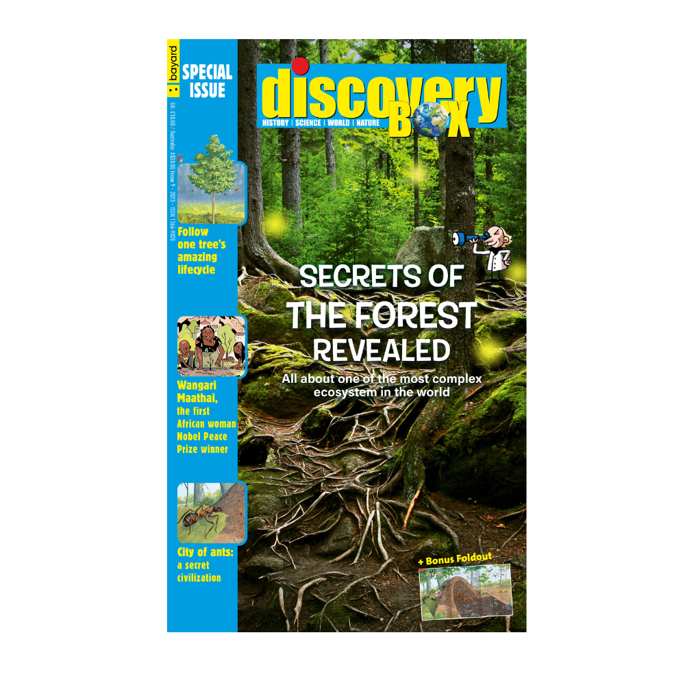 DiscoveryBox Special Edition: Secrets of the forest revealed  (Single Issue)