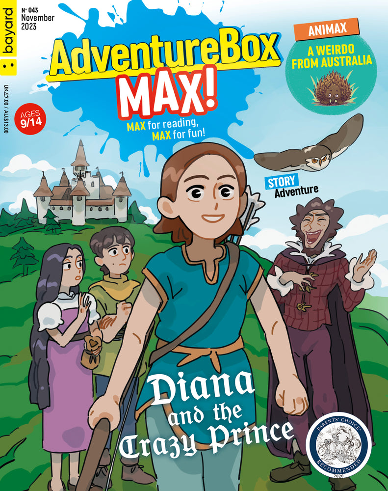 AdventureBox Max! - 43